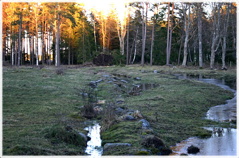 Vallgravar vid Tuna i Viklau