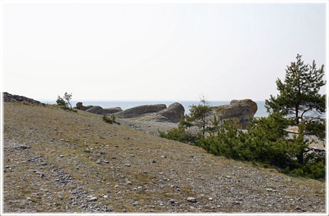 Gotland, Gamle hamn - foto: Bernt Enderborg