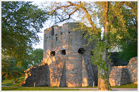 Gotland, Silverhättan eller Kames - foto: Bernt Enderborg