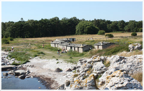 Raukar vid Holmhllar