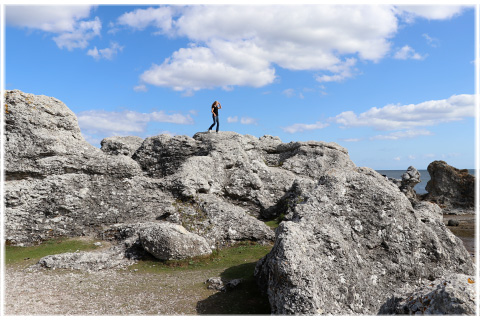 Gotland, Folhammar - foto: Bernt Enderborg