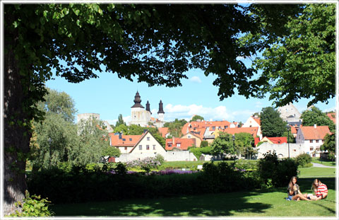 Gotland, Almedalen - foto: Bernt Enderborg