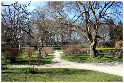 Gotland, Botaniska Trädgården - foto: Bernt Enderborg