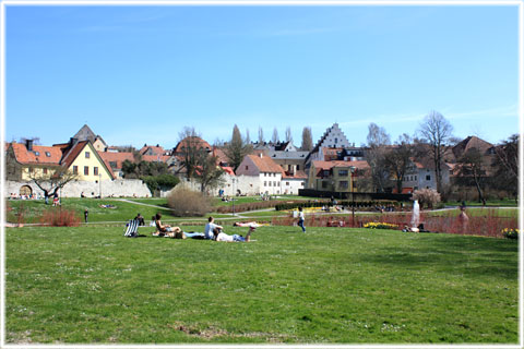 Almedalen, sevrdheter i Visby