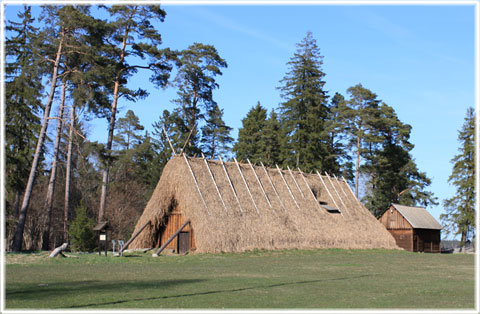 Gotland, Lojsta hall och slott - foto: Bernt Enderborg