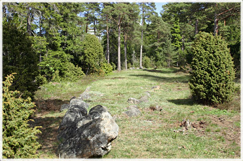 Gotland, Braidfloar - foto: Bernt Enderborg