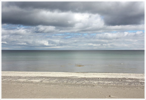 Gothem Strandbad, Vitviken