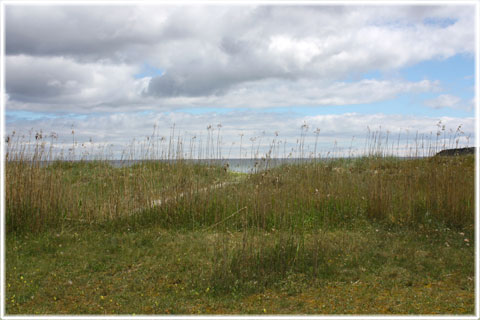 Gothem Strandbad, Vitviken