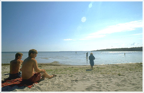 Gotland, Bungeviken - foto: Björn Pettersson