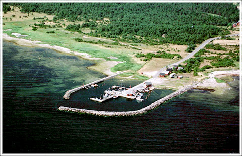 Gotland, Botvaldevik - foto: Björn Pettersson