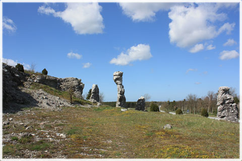 Gotland, Bogeklinten - foto: Bernt Enderborg