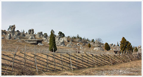 Gotland, Lergrav - foto: Bernt Enderborg