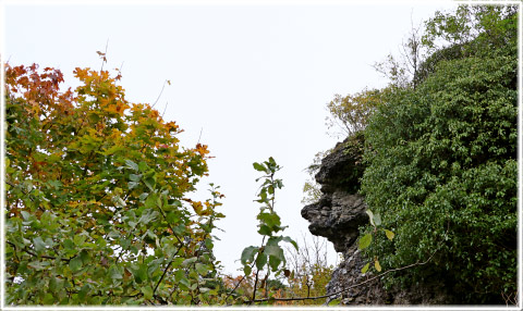 Gotland, Gamle Patron, en rauk i Lummelunda - foto: Bernt Enderborg