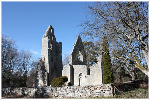 Bara ödekyrka, foto Bernt Enderborg foto av Bara ödekyrka