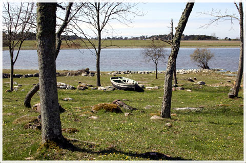 Vendeltida skeppsvarv vid Paviken p Gotland