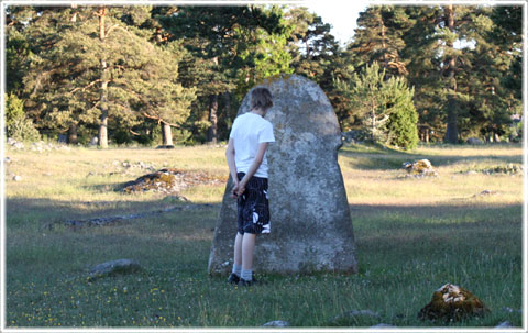 Bildsten vid Glrum i Alskog