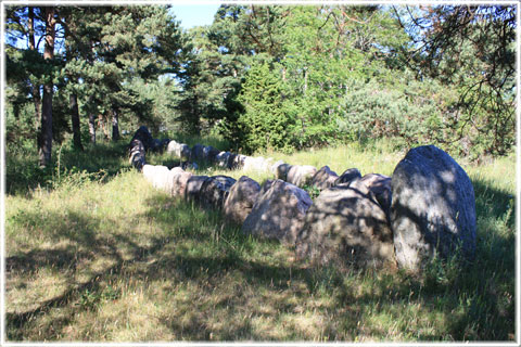 Gotland, Skeppssättningar - foto: Bernt Enderborg