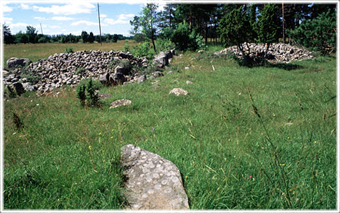 Gotland, Lilla Ihre - foto: Björn Pettersson