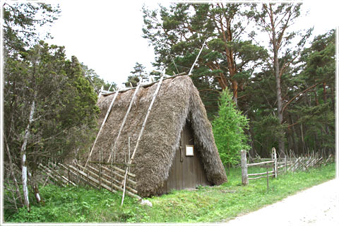 Gotland, Russgift och lambgift - foto: Bernt Enderborg