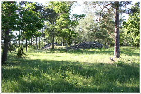 Gotland, Stenröse vid vägen till Dans - foto: Bernt Enderborg