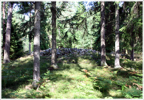 Gotland, Stenröse i Västerbykvia, Djaurgatu - foto: Bernt Enderborg