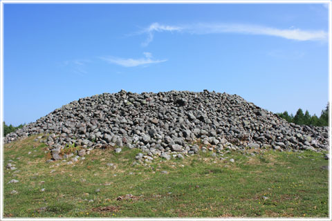 Gotland, Majsterrojr - foto: Bernt Enderborg