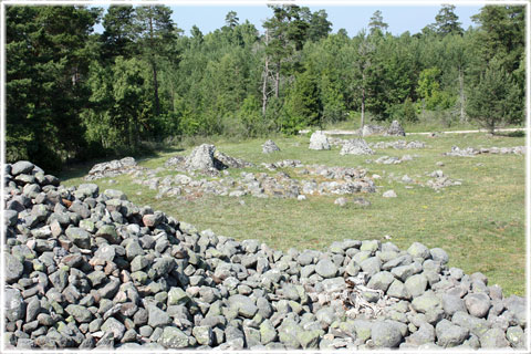 Majsterrojr, bronsåldersröse i Gotham på Gotland