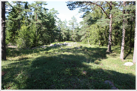 Gotland, Gothemhammar - foto: Bernt Enderborg