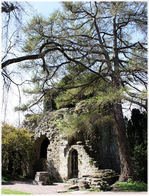 Gotland, S:t Olof ruin - foto: Bernt Enderborg