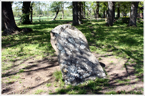 Gotland, Bildstenar i Hejde - foto: Bernt Enderborg