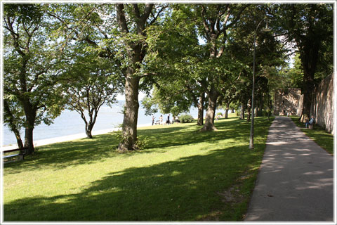 Gotland, Strandpromenaden - foto: Bernt Enderborg