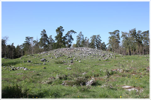 Gotland, Ett stenröse i Fole - foto: Bernt Enderborg