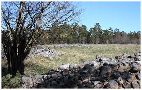 Gravfältet Bjärs i Hejnum