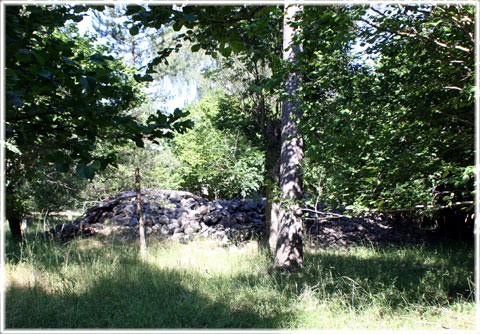 Rojrhagen i Linde på Gotland