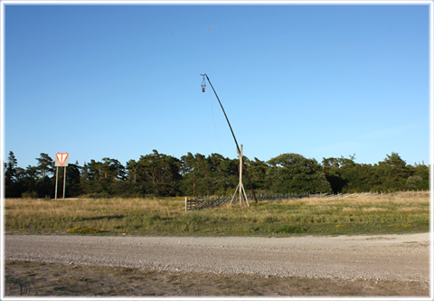 Gotland, Isolerad avkrok - foto: Bernt Enderborg