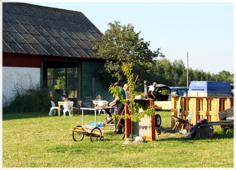 Gotland, Rockabilly i Rone - foto: Bernt Enderborg