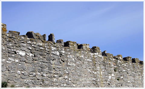 Gotland, Ringmurskaries - foto: Bernt Enderborg