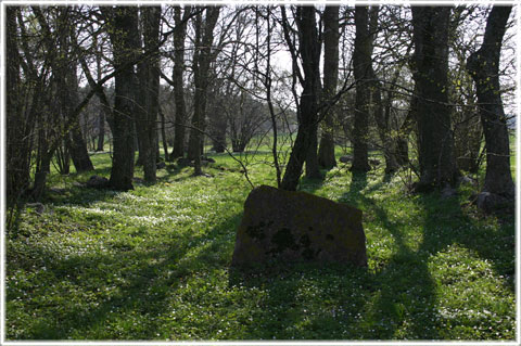 Gotland, 15) Den första kyrkan - foto: Bernt Enderborg