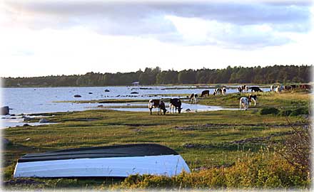 Gotland, De riktiga sevärdheterna - foto: Bernt Enderborg