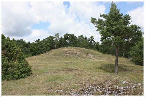 Gotland, Visbjerg - foto: Bernt Enderborg