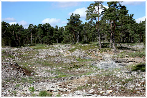 Kalkbrott i Alskog