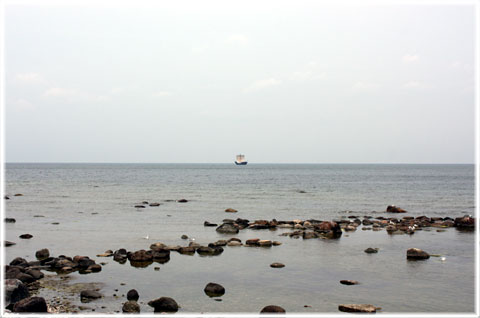 Gotland, En kogg på besök - foto: Bernt Enderborg