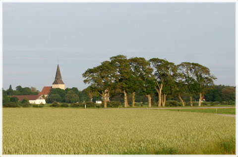 Gotland, Fader vår på gutniska - foto: Bernt Enderborg