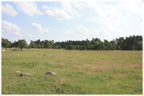 Gotland, Vallstenarum - foto: Bernt Enderborg