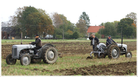 Gotlands Veterantraktorklubb