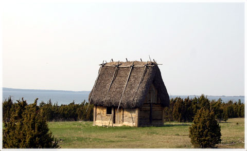 Gotland, Fårö - foto: Bernt Enderborg