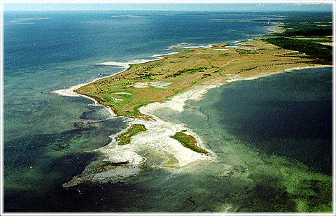 Gotland, Hummelbosholm fågelskyddsområde - foto: Björn Pettersson