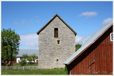 Gotland, Lauks i Lokrume - foto: Bernt Enderborg