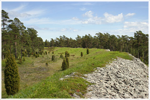 Fornborg Torsburgen, foto Bernt Enderborg