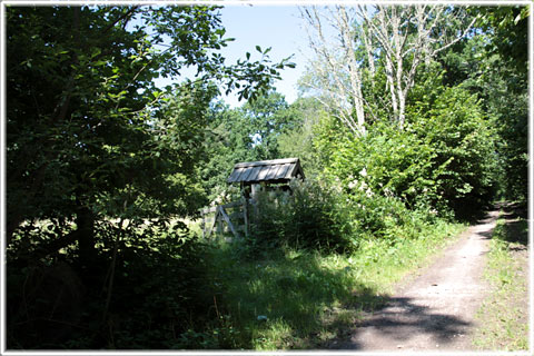 Gotland, Grötlingbo prästänge, Pankar - foto: Bernt Enderborg